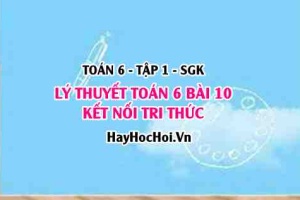 Lý Thuyết Toán 6 Bài 10: Số Nguyên Tố & Hợp Số (Kết Nối Tri Thức)